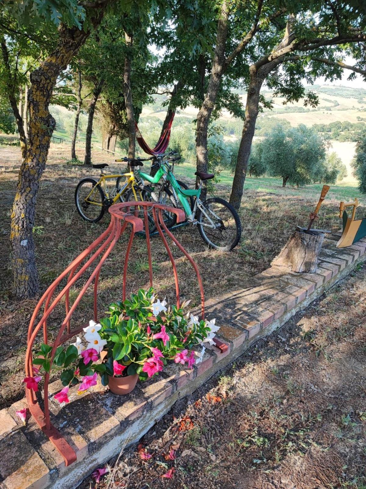 Agriturismo Podere Cherzo Cinigiano Exterior photo